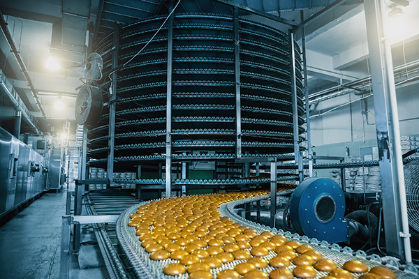 Spiral Tünel ve Bant Ekipmanları